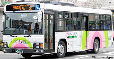 PKG-LV234L2